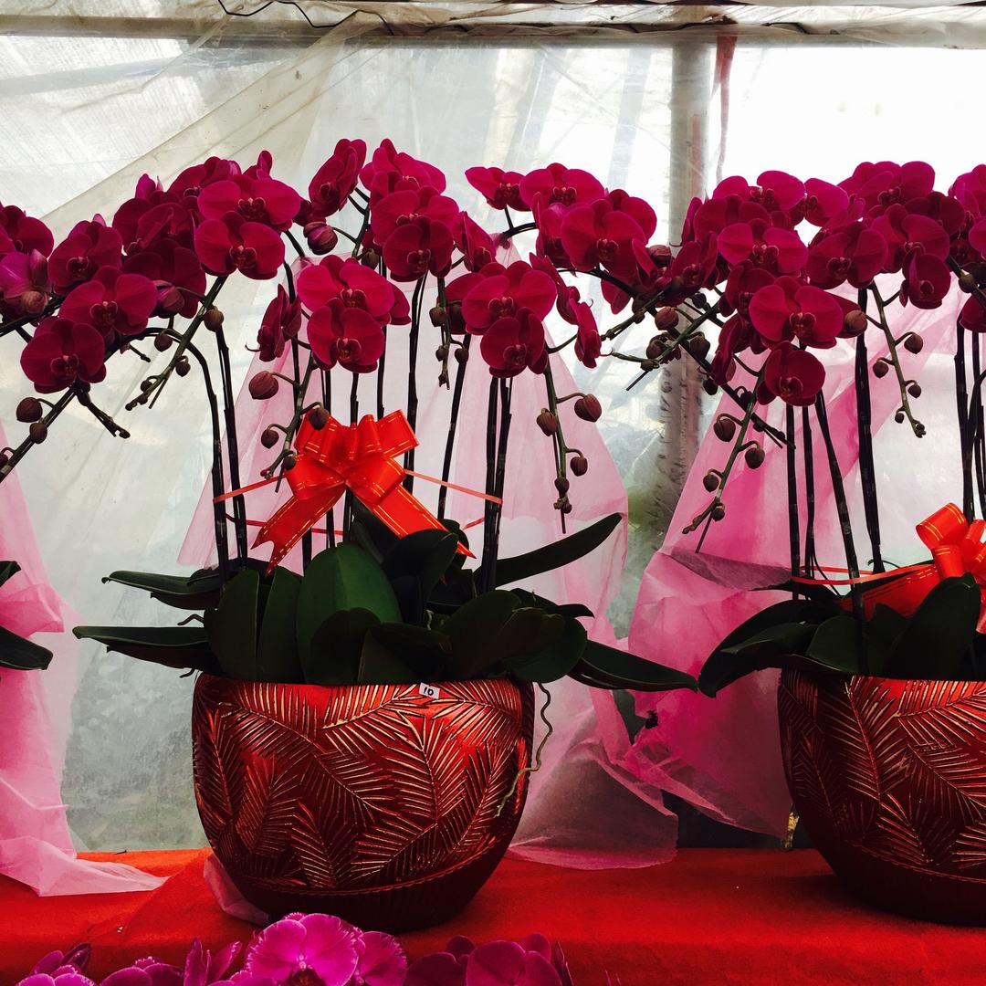 莆田市城厢区馨语酒店