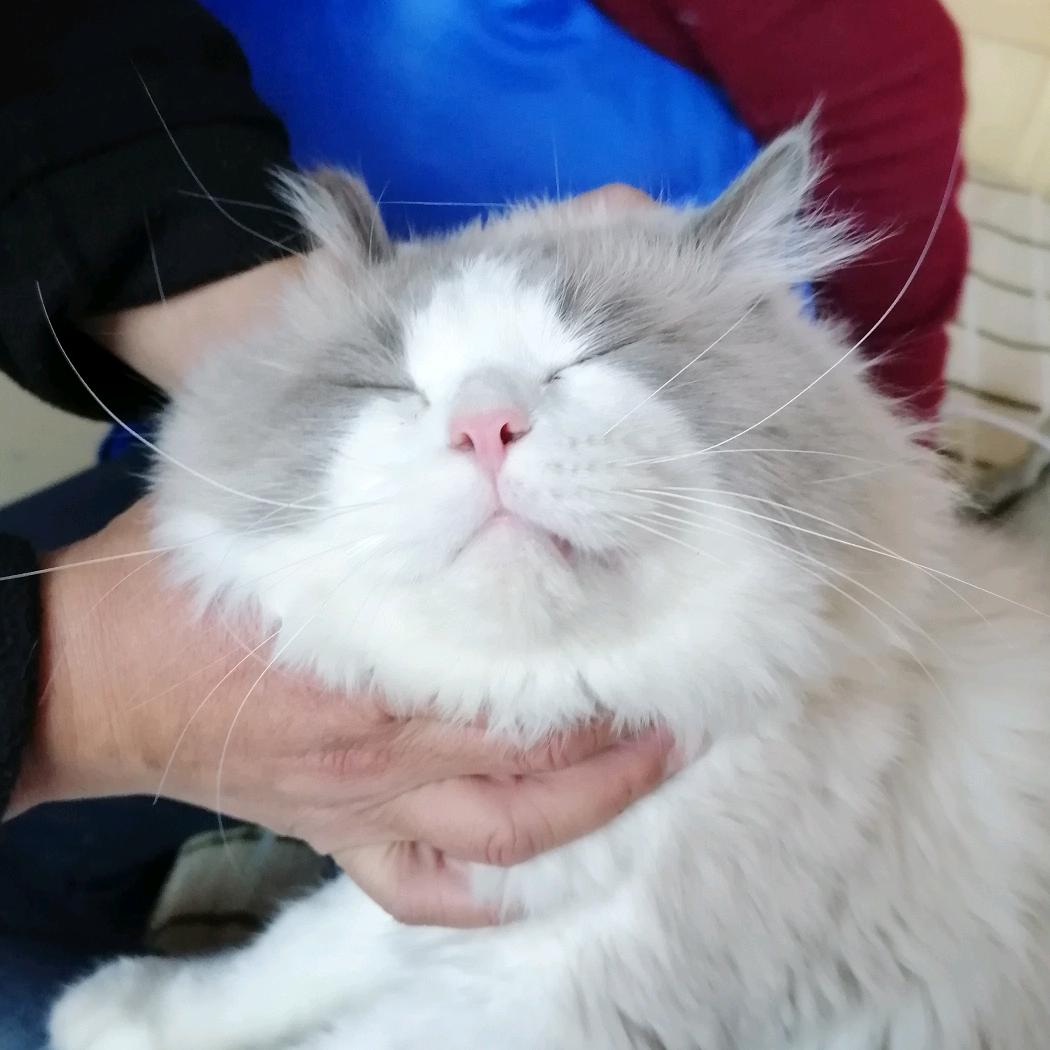 李素萍