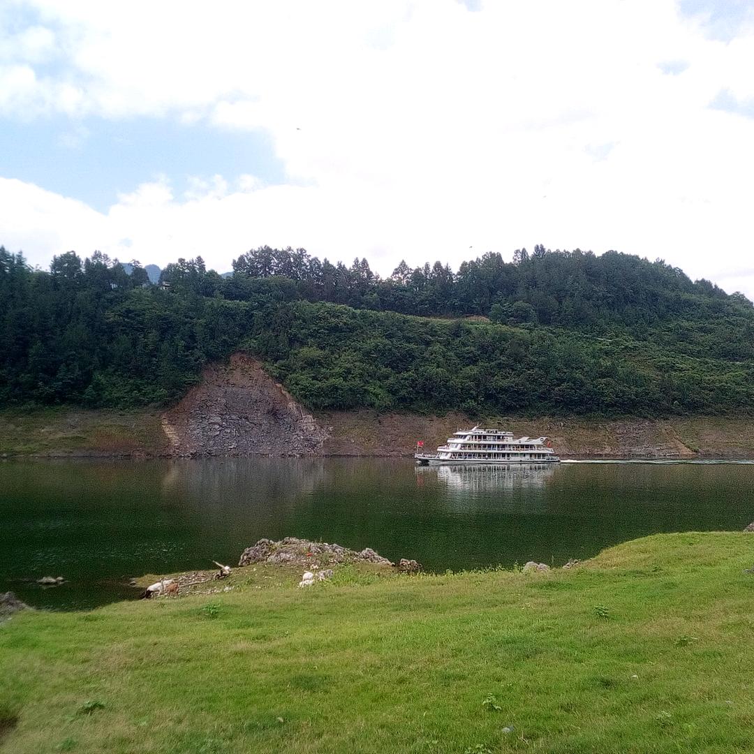 ₍₍ (̨̡ 夜猫子)̧̢ ₎₎