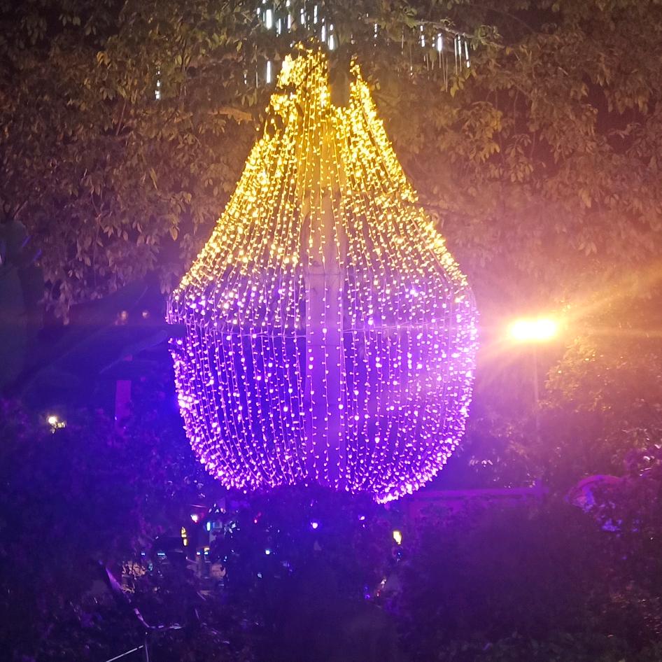 ♛小灰灰♛