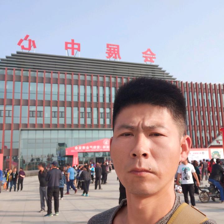 大海宠物零食狗粮猫粮一袋也批发