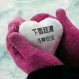 雪zx666