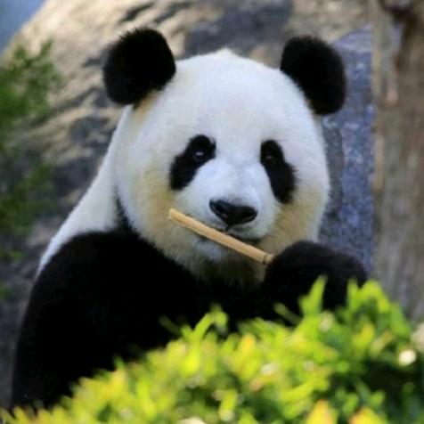 &一笑而过&