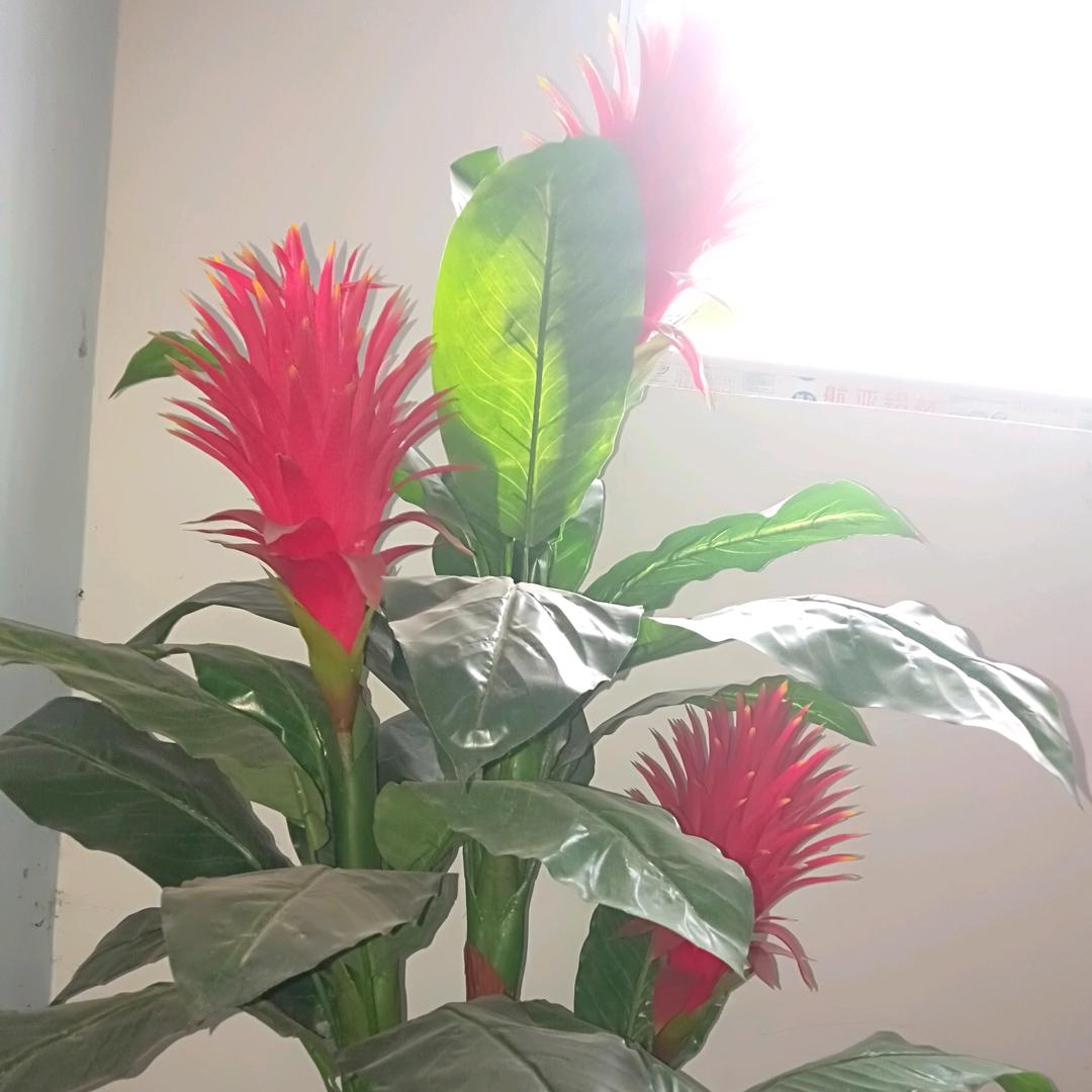 ～开心每一天