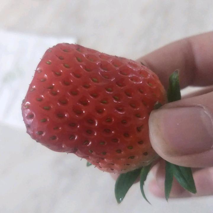 朋友汽修