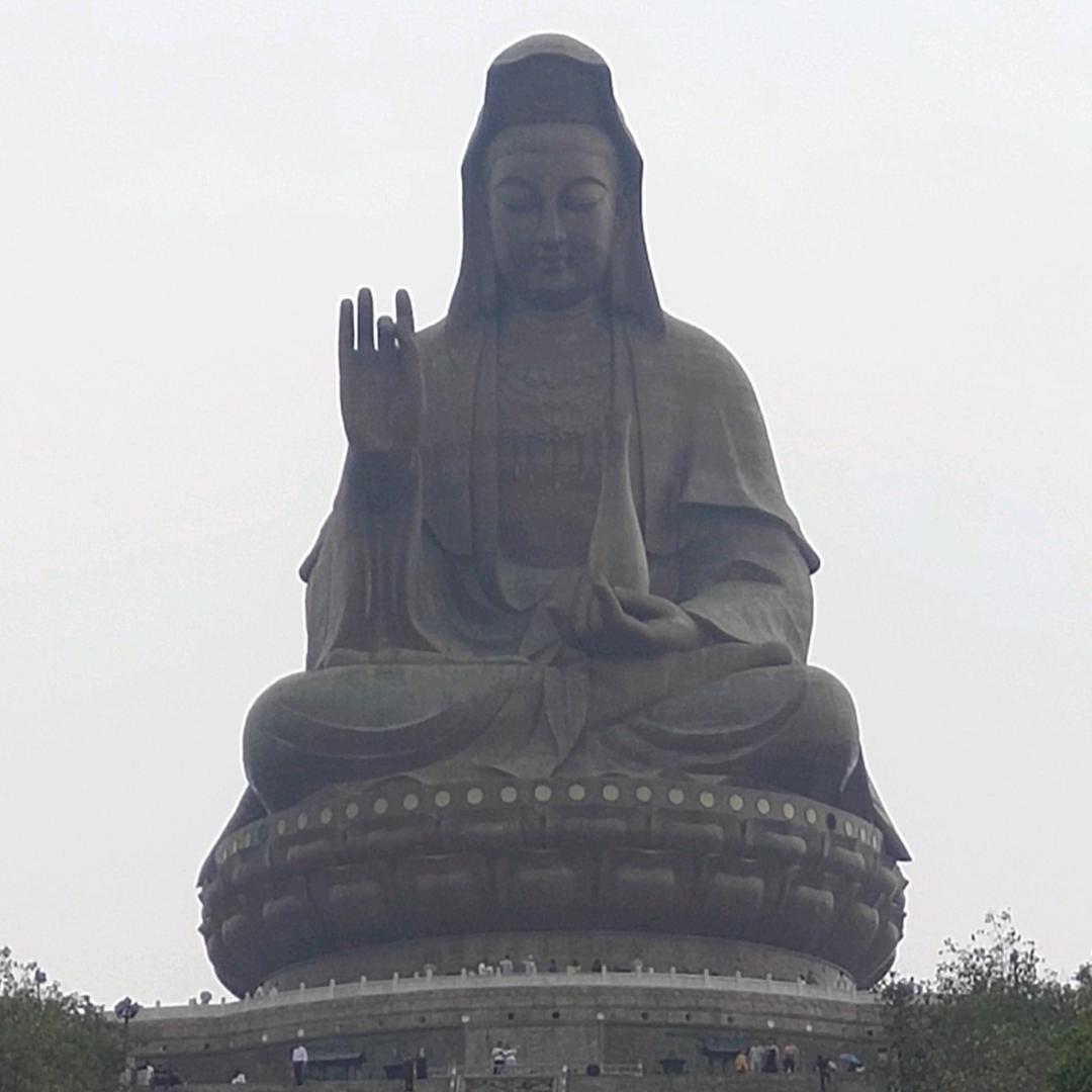冬瓜