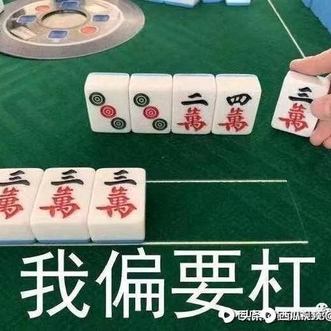 杨杨杨杨杨