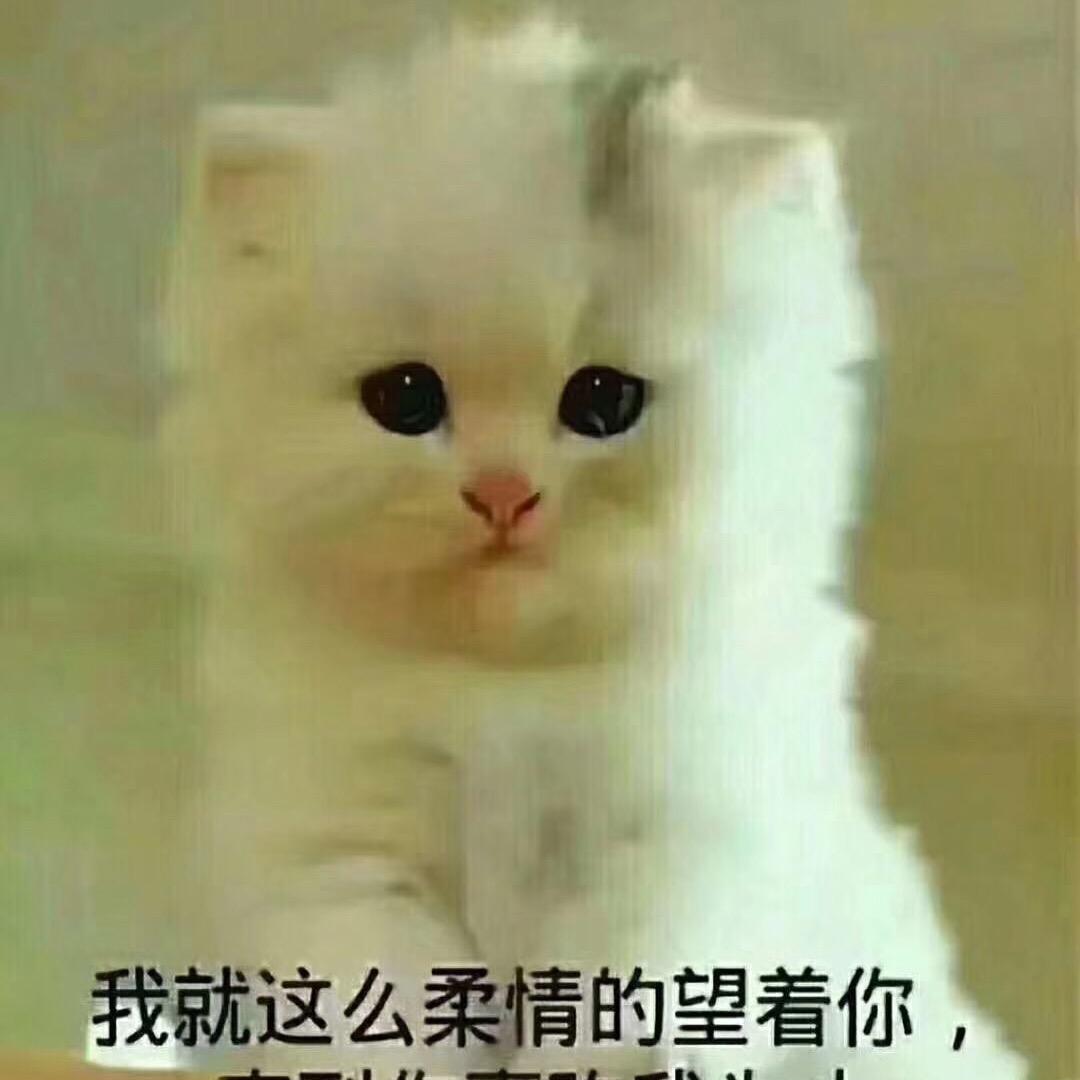 余生很贵请别浪费