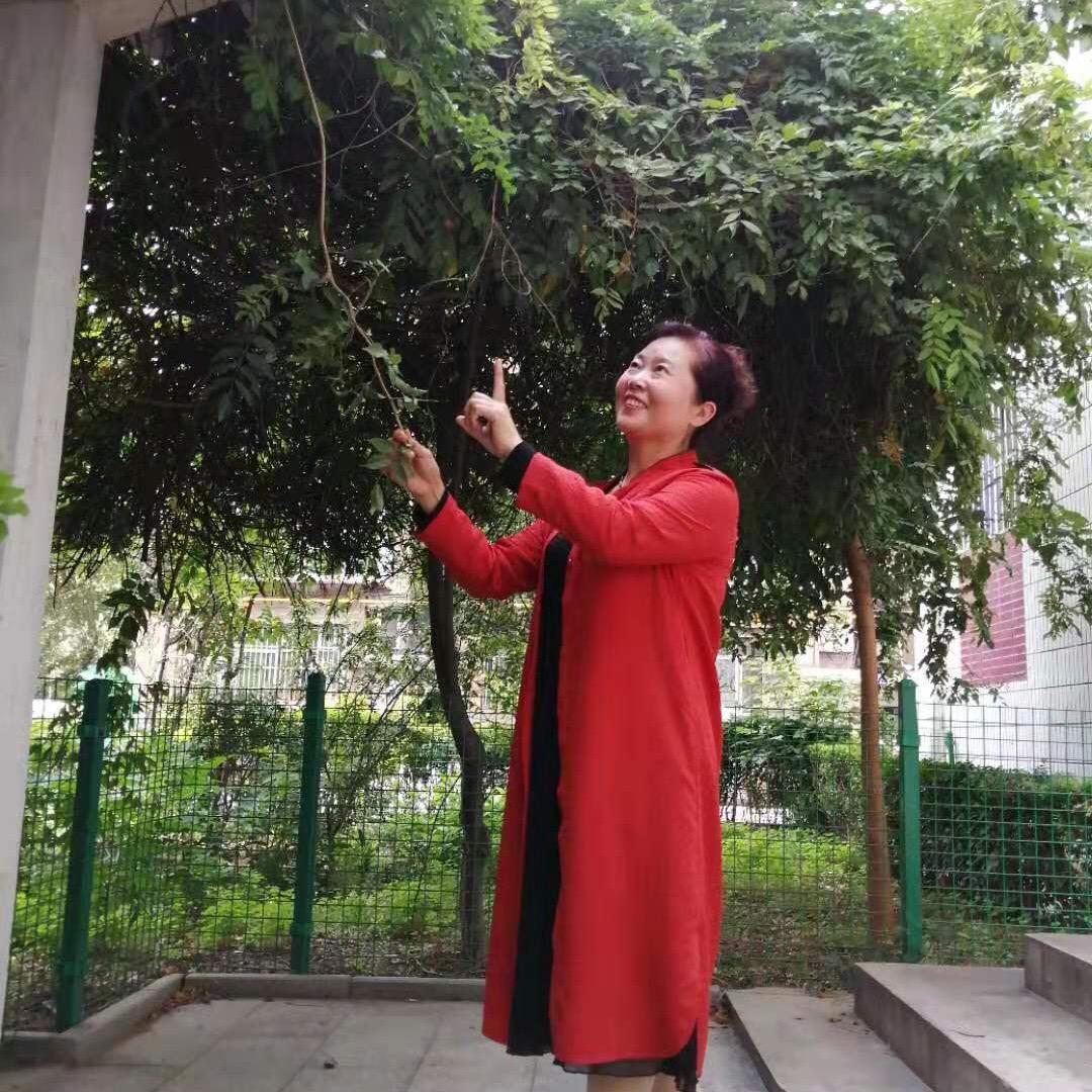 红牡丹