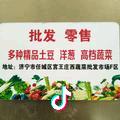 许西德，精品蔬菜营销中心