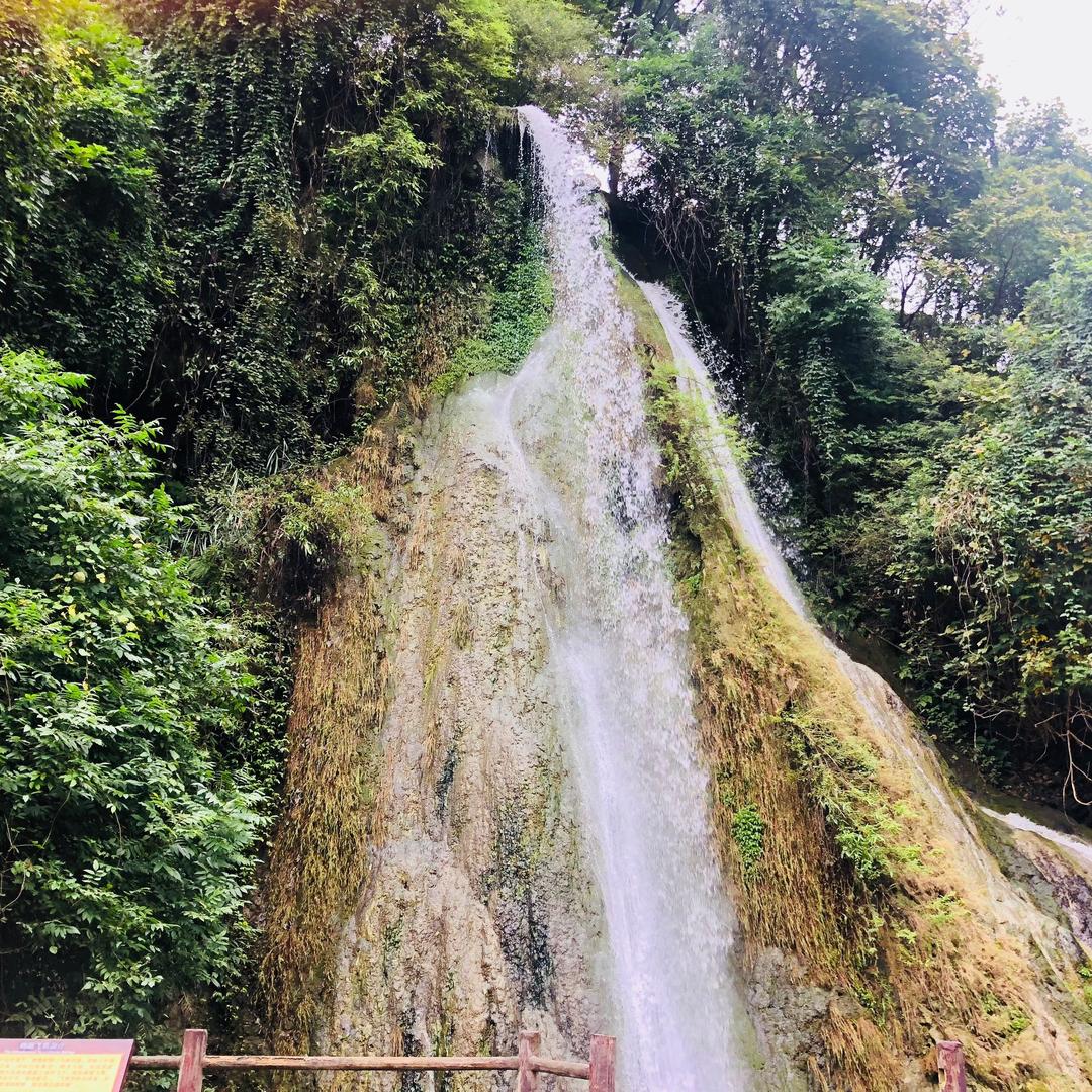 龙飞