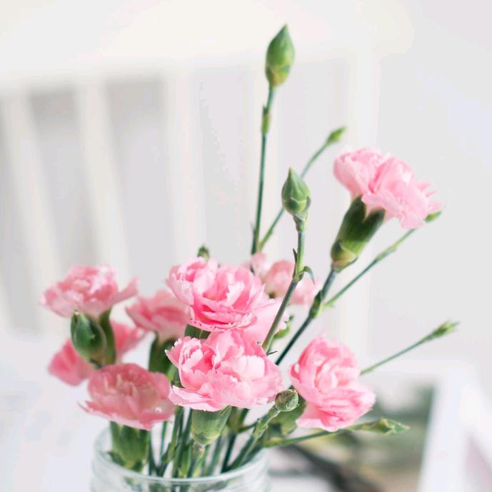 💗᭄余生ᝰᩚ随心ꦿ໌ᮨ