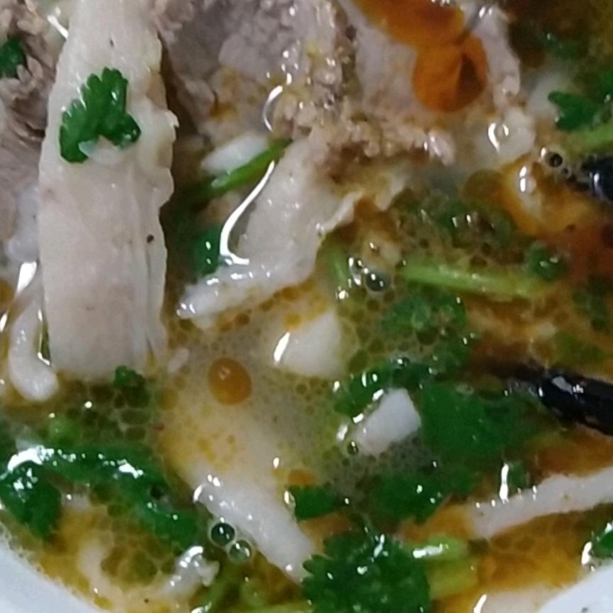 一条小鱼