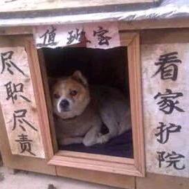 我无语死了