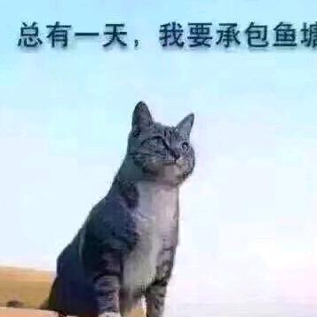 云中蔓