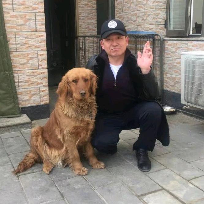 东北虎，吼
