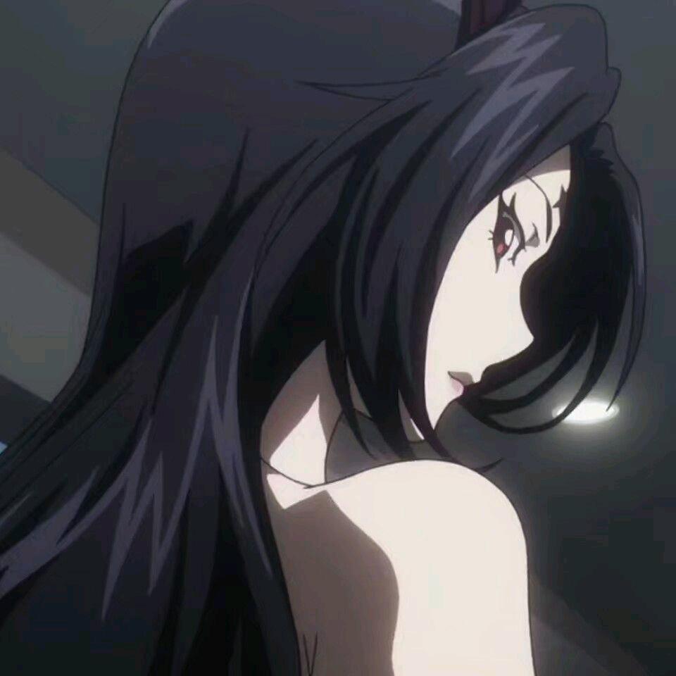 帆帆不烦