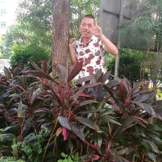 人生无限