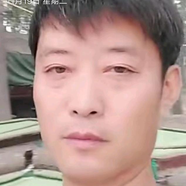 飞虎