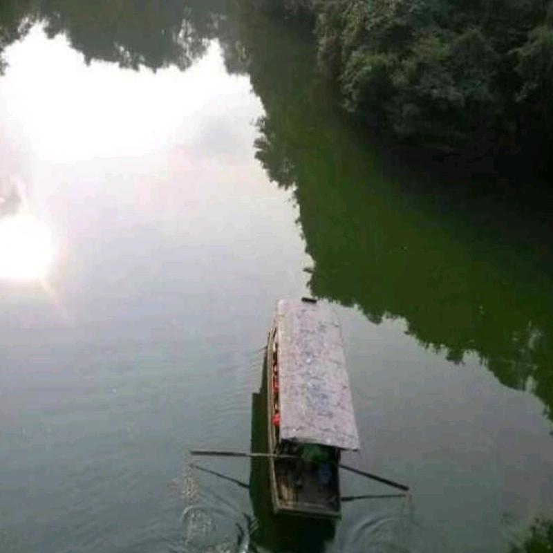 曾经的歌⊙﹏⊙不享有曾经的歌