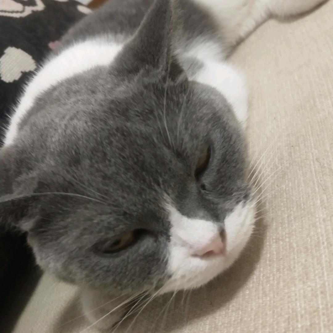 赫奋斗青春