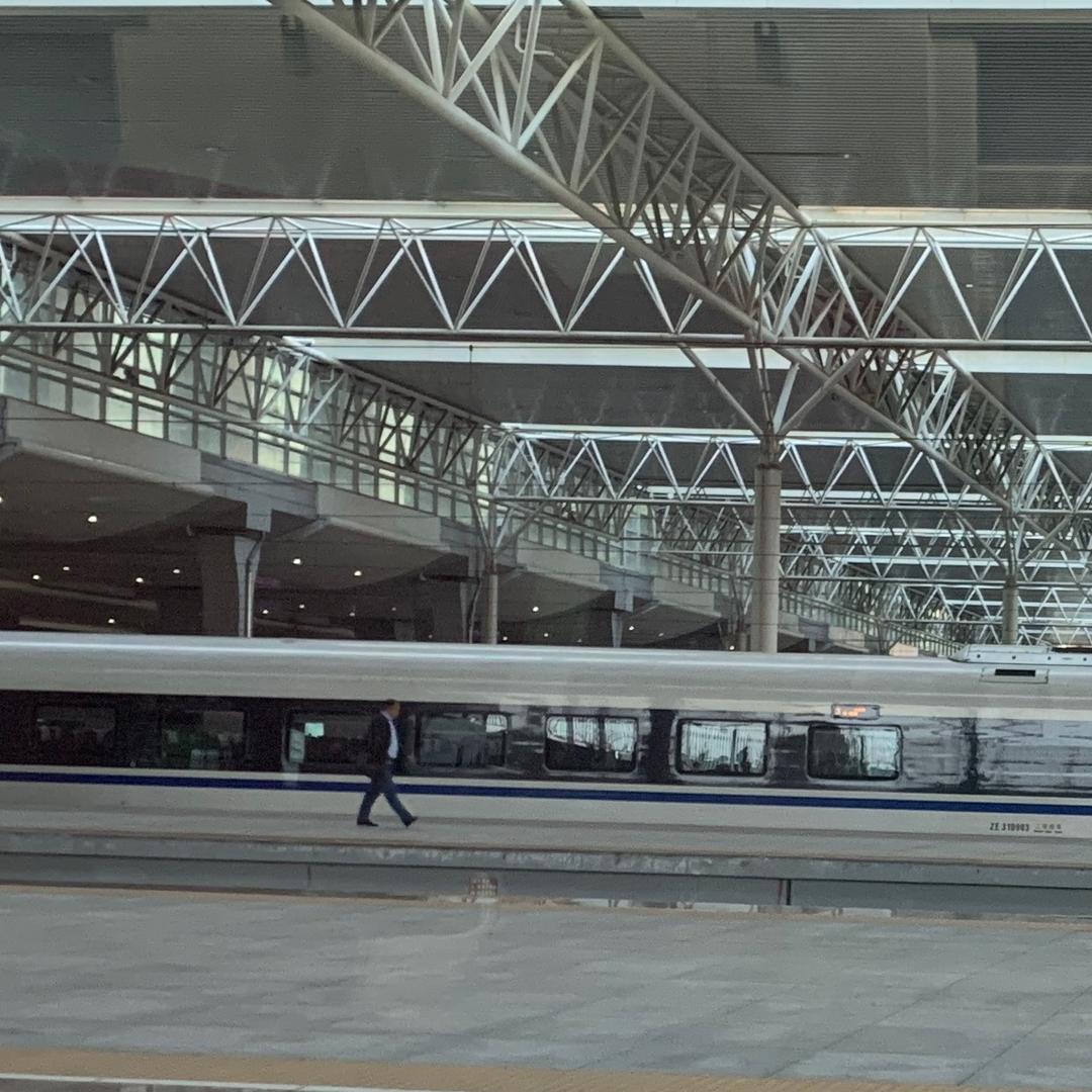 航旅纵横的流浪汉