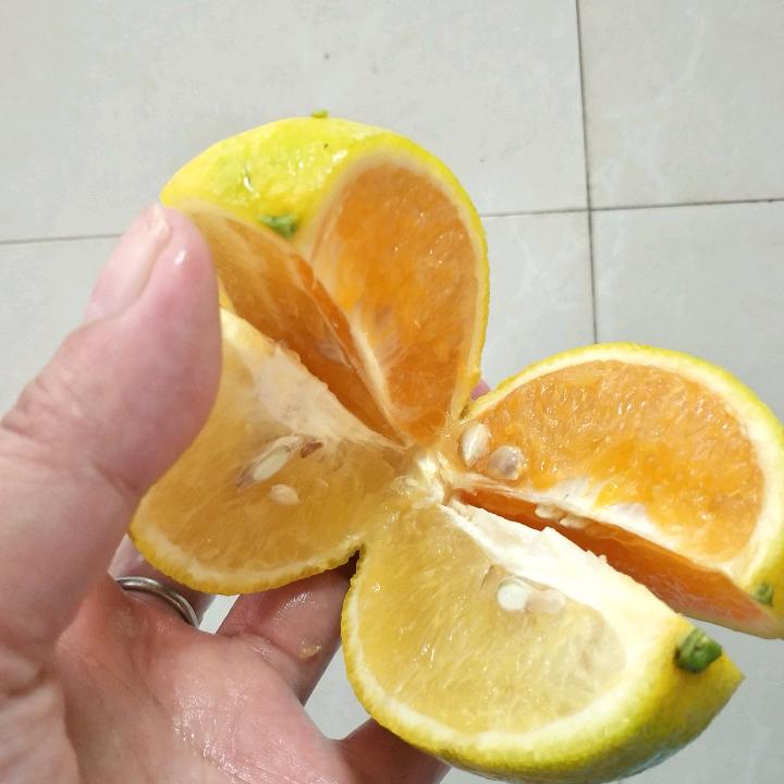 遇见