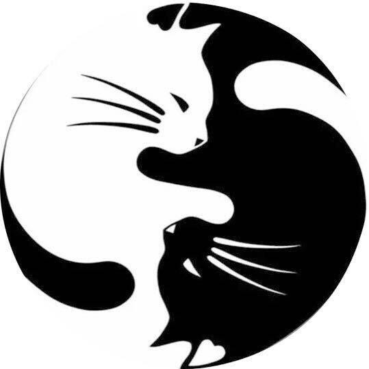 不负如来不负卿