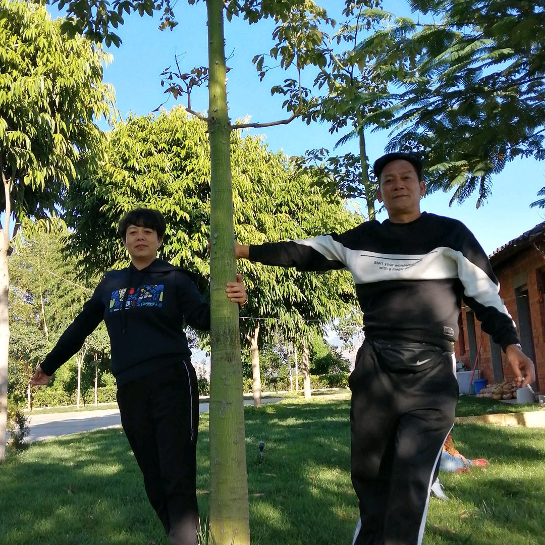 盘溪果蔬果业