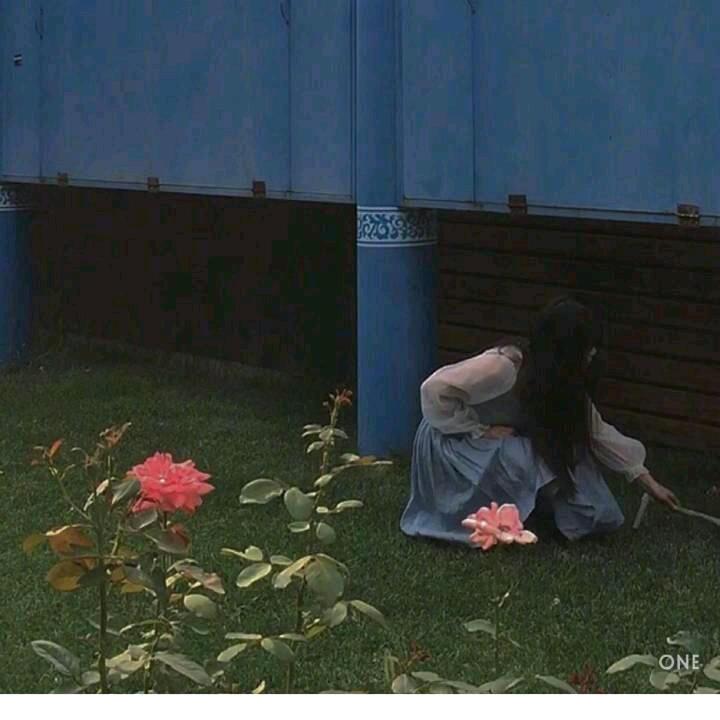 慕离pto