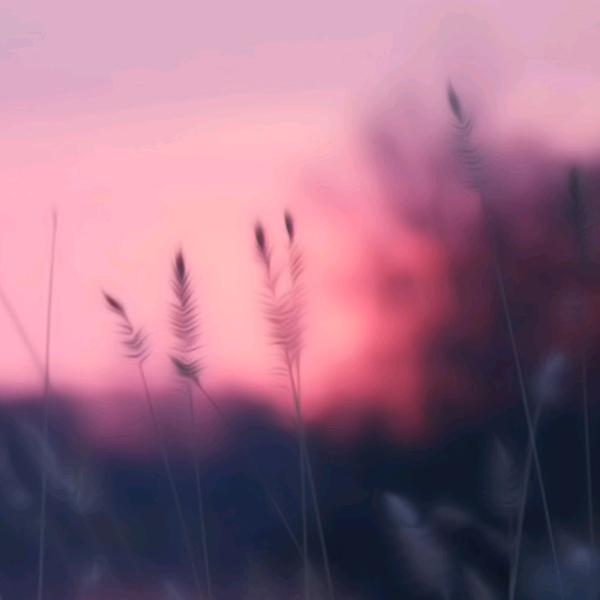 周围的喧闹和肆意逍遥的风