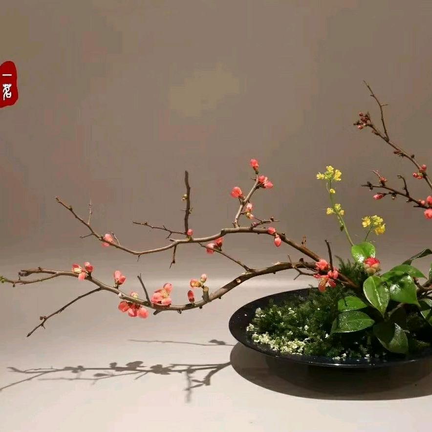 嘉峪关一明鲜花