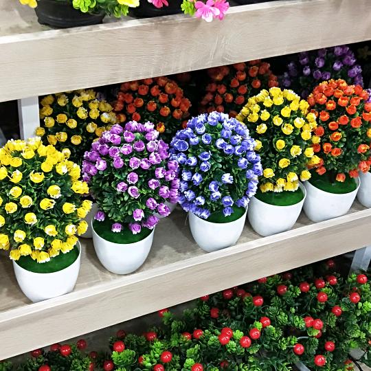 天天开心(∩_∩)