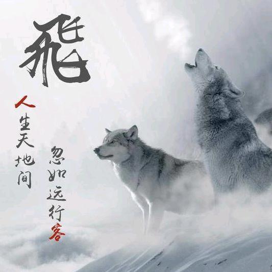 阿飞