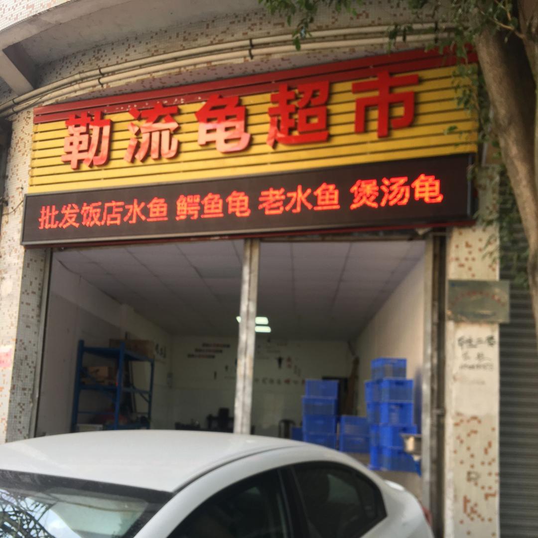 A💎顺德文仔🐢（勒流龟超市）