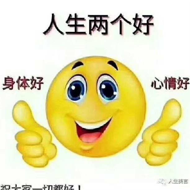 康乃馨