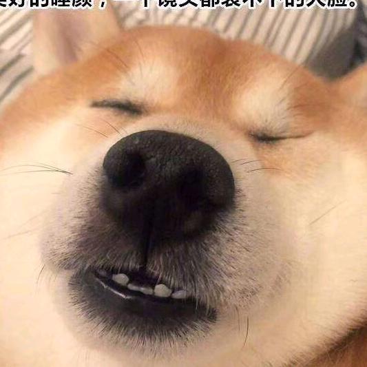 极度胜寒