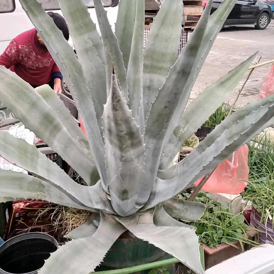 我的人生我做主