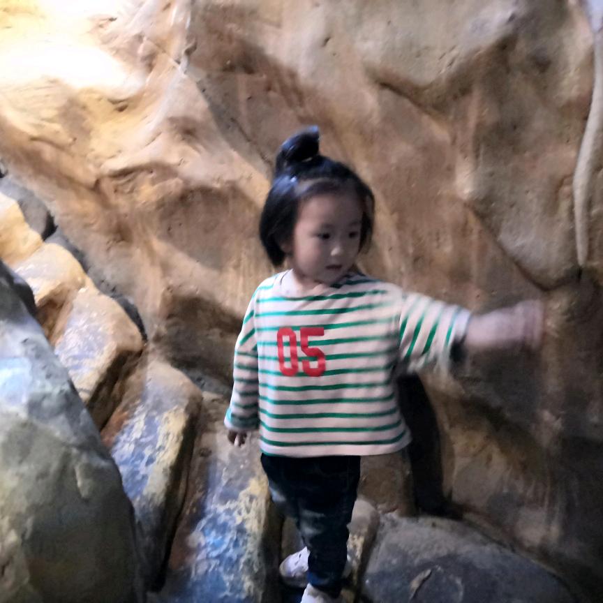 哈哈😄
