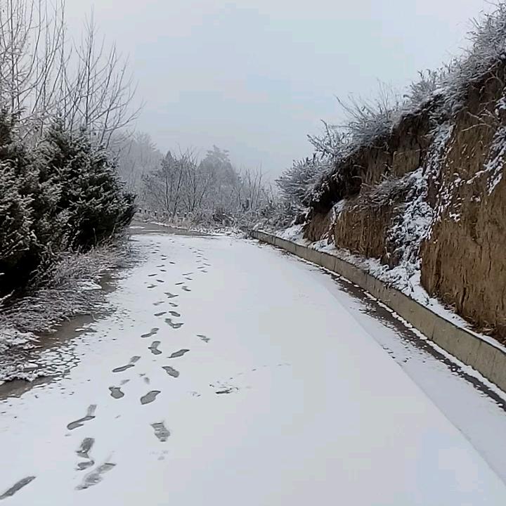 影魂