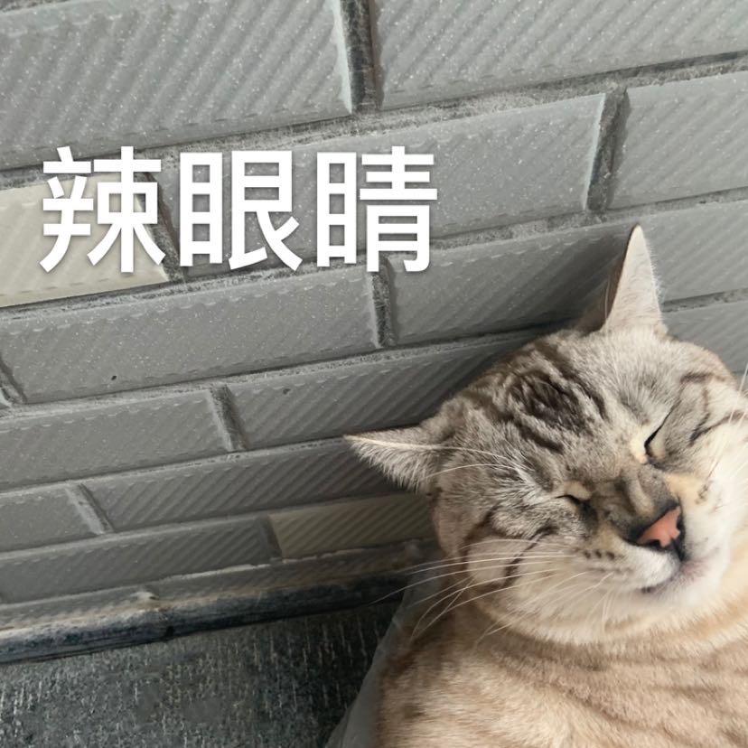 左灯右行