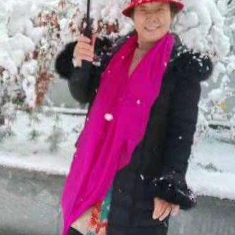 常青雪鹰