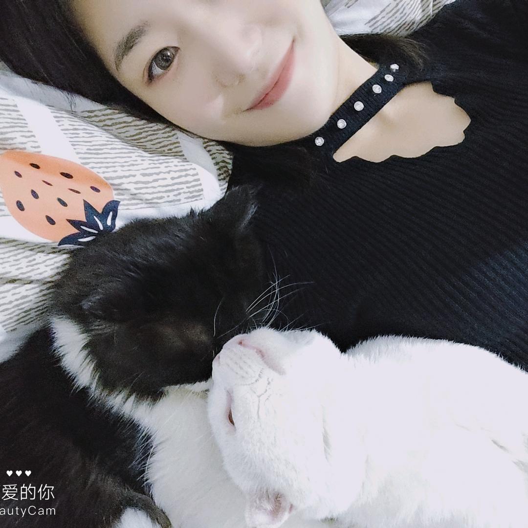 猫四姑娘爱养喵✨