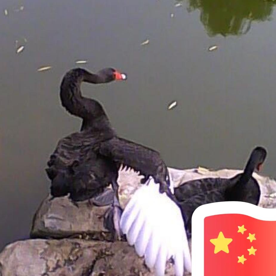 心想事成