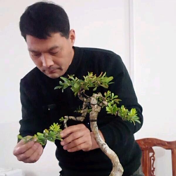 河南醉景园宋新超