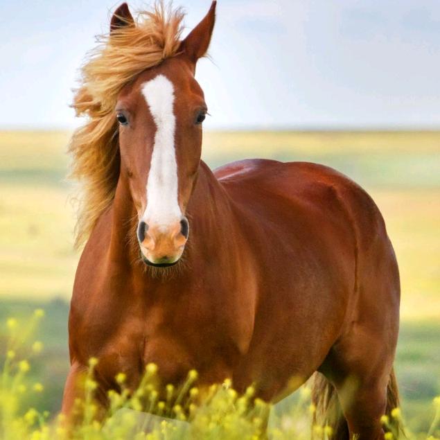 宝贝女儿唐紫萱