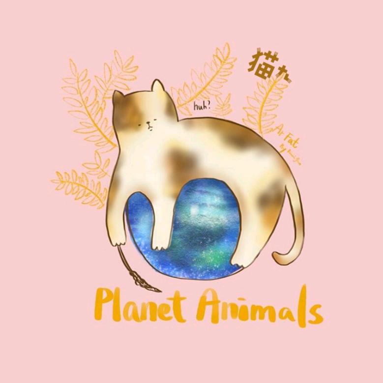 猫九的羊毛毡