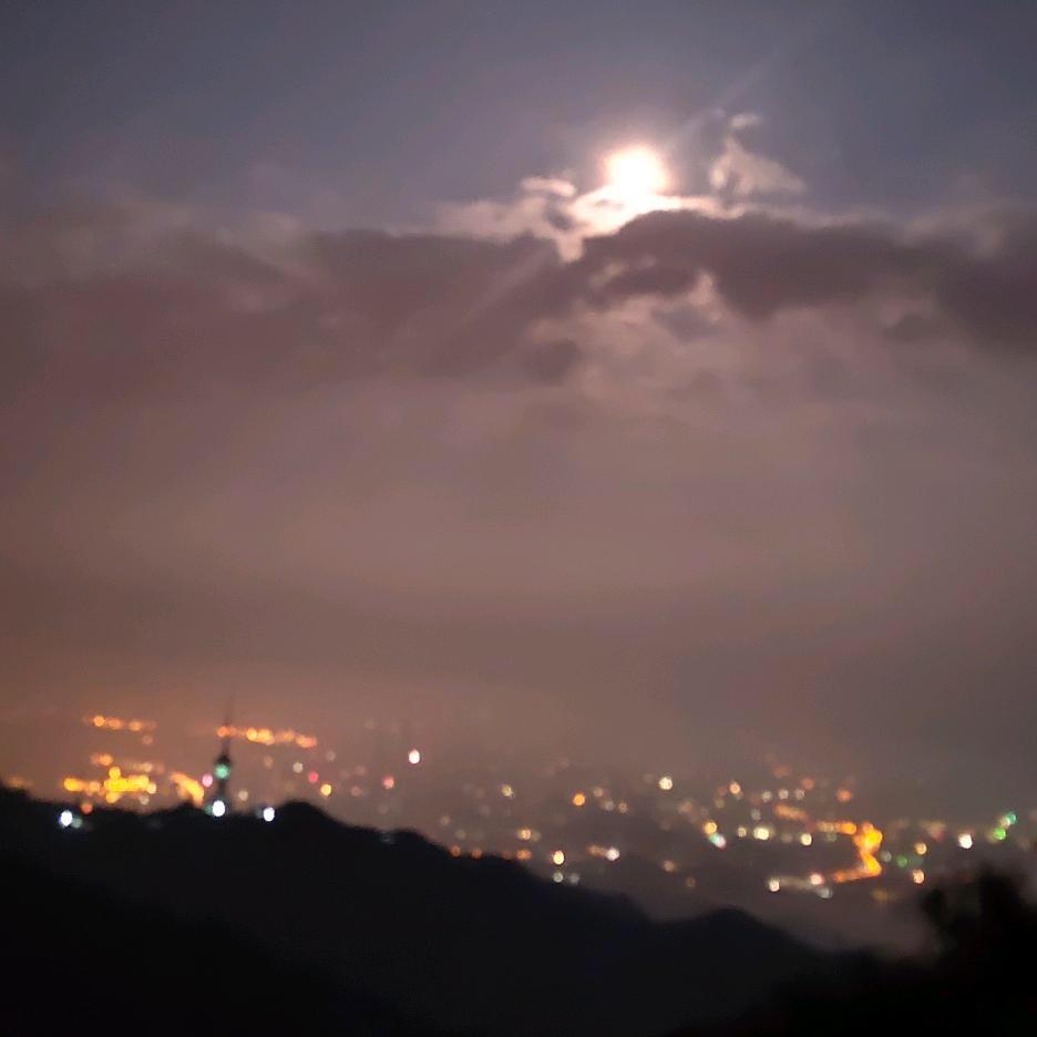 林雨