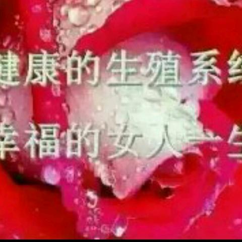 我爱我家