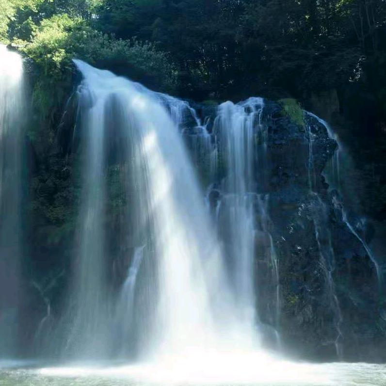 樊！过好每一天